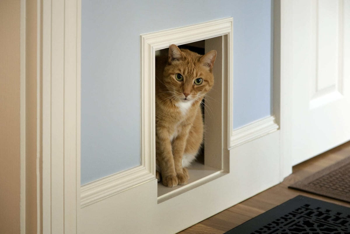 Feline-friendly home modification with a pet passage designed into a custom remodel by Thomas Buckborough & Associates, Acton, MA