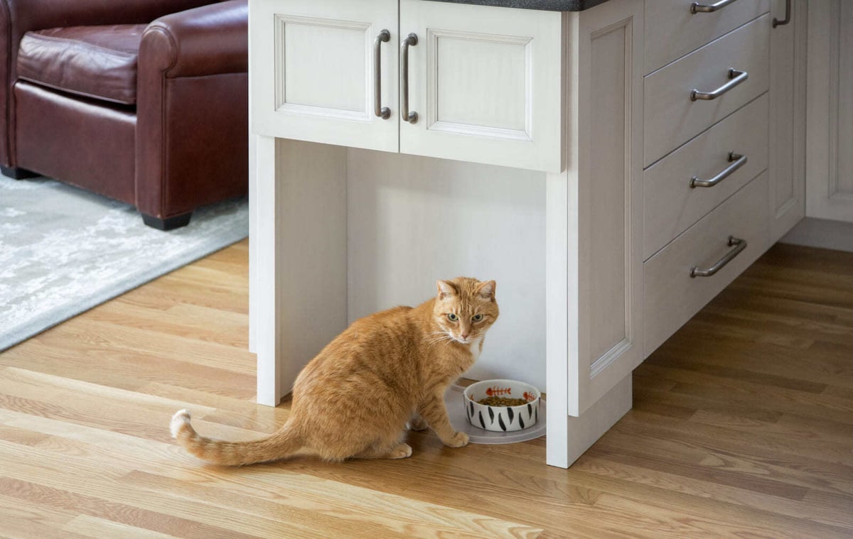 Functional kitchen storage solution with a pet-friendly feeding station in a home renovation by Thomas Buckborough & Associates, Acton, MA