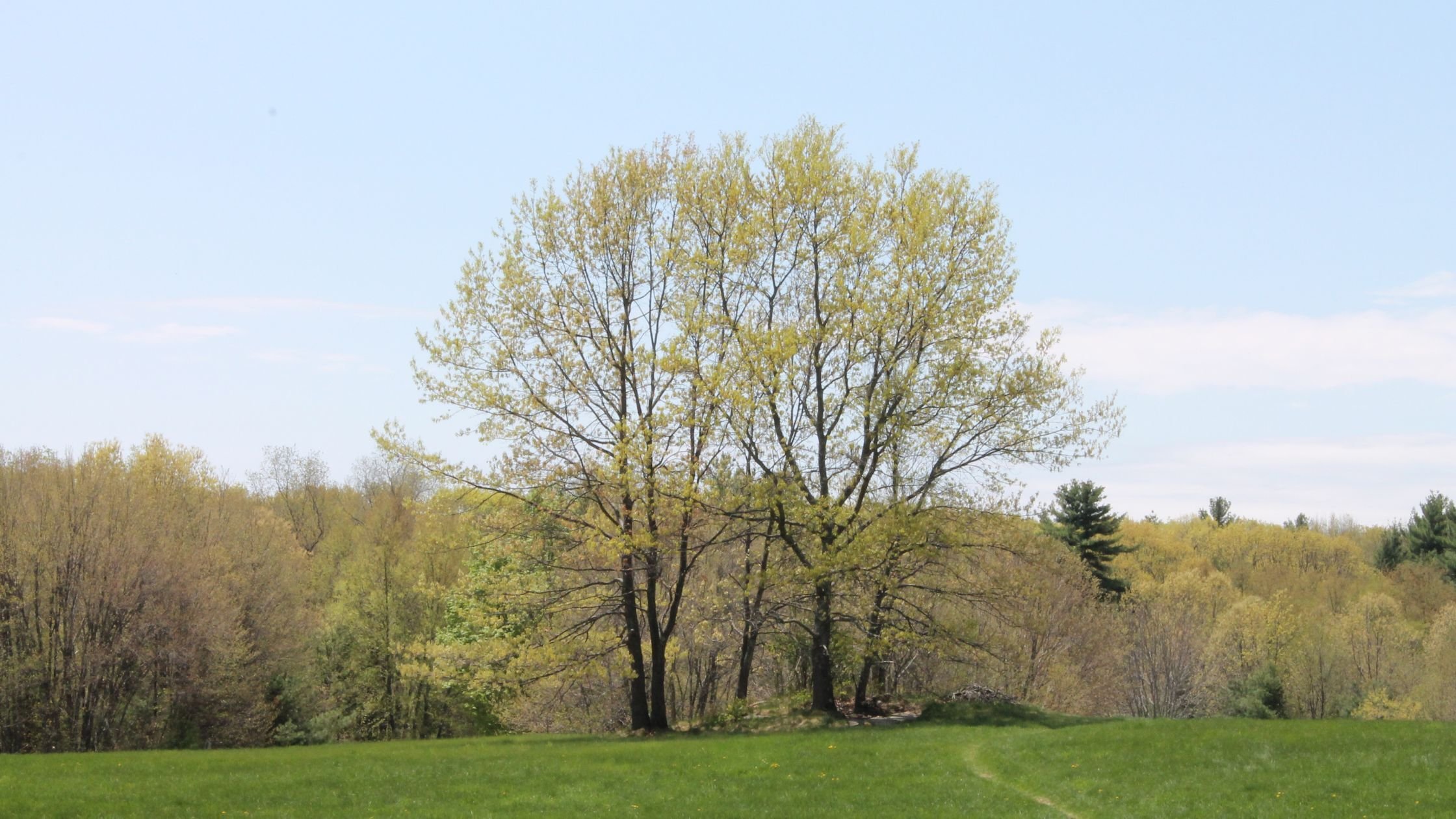 lexington massachusetts neighborhood